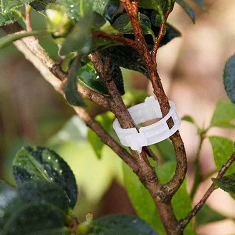 Clips de Suporte de Plástico para Prender Plantas - Loja Juso
