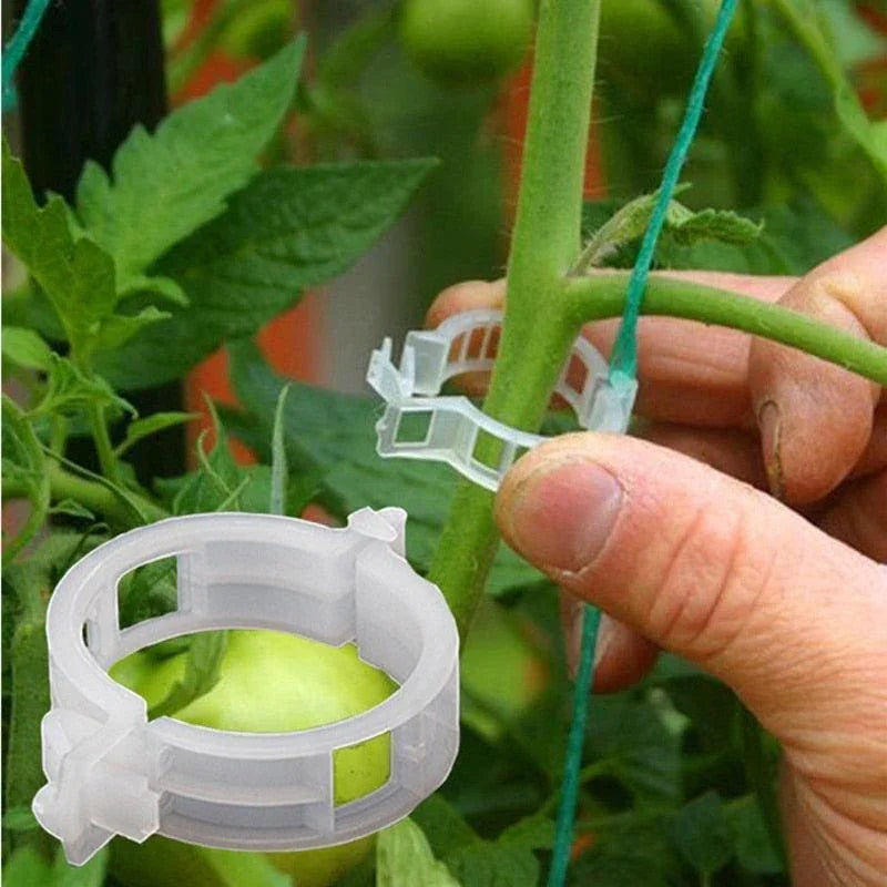 Clips de Suporte de Plástico para Prender Plantas - Loja Juso