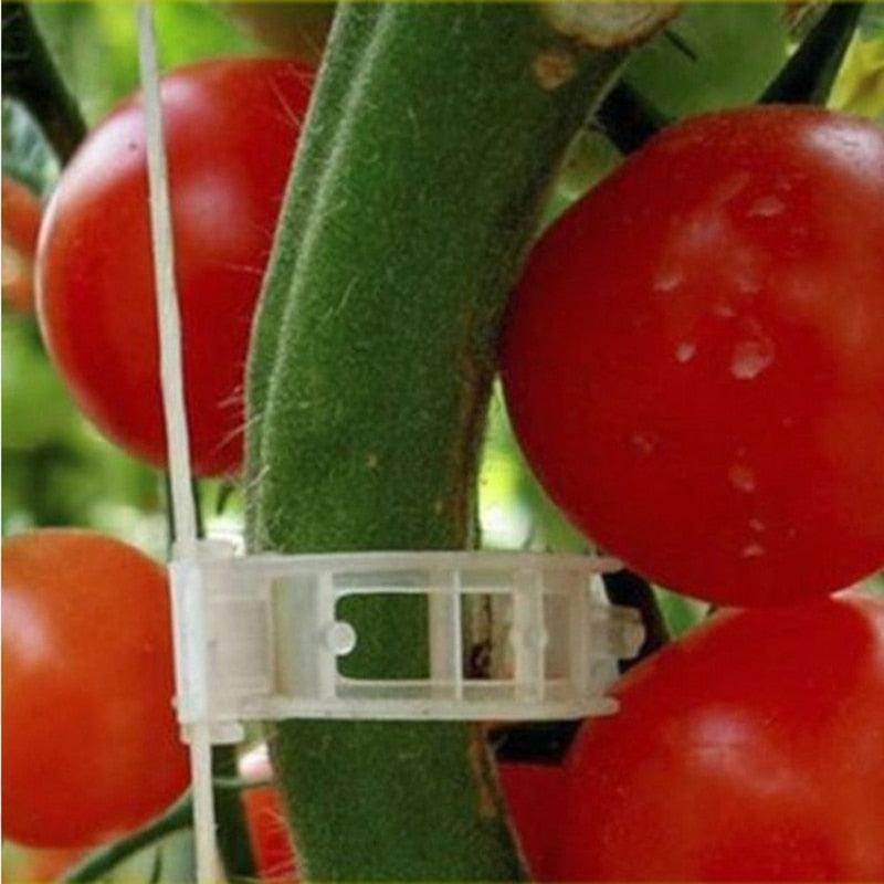 Clips de Suporte de Plástico para Prender Plantas - Loja Juso